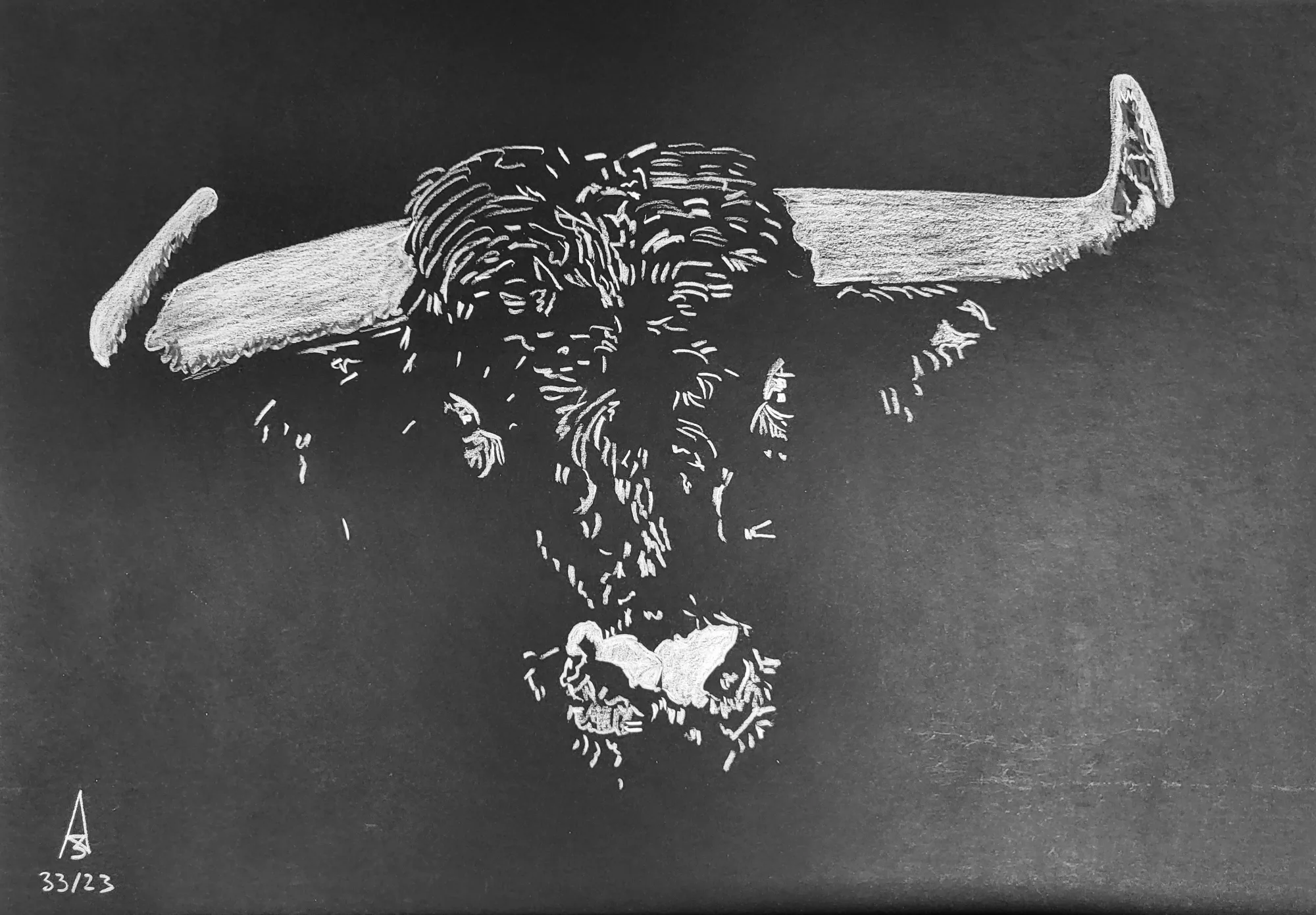 "El Toro"