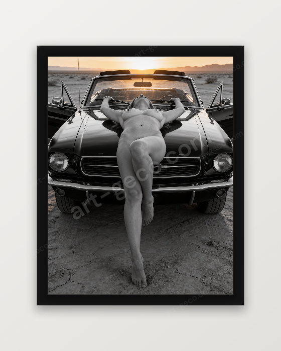 Miss mustang