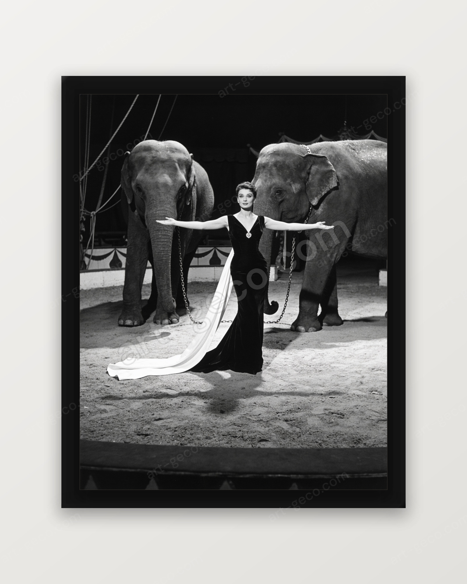 Éléphants et haute couture Dior