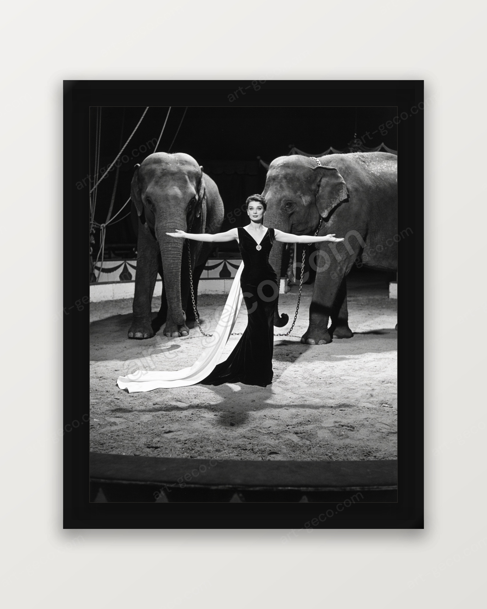 Éléphants et haute couture Dior