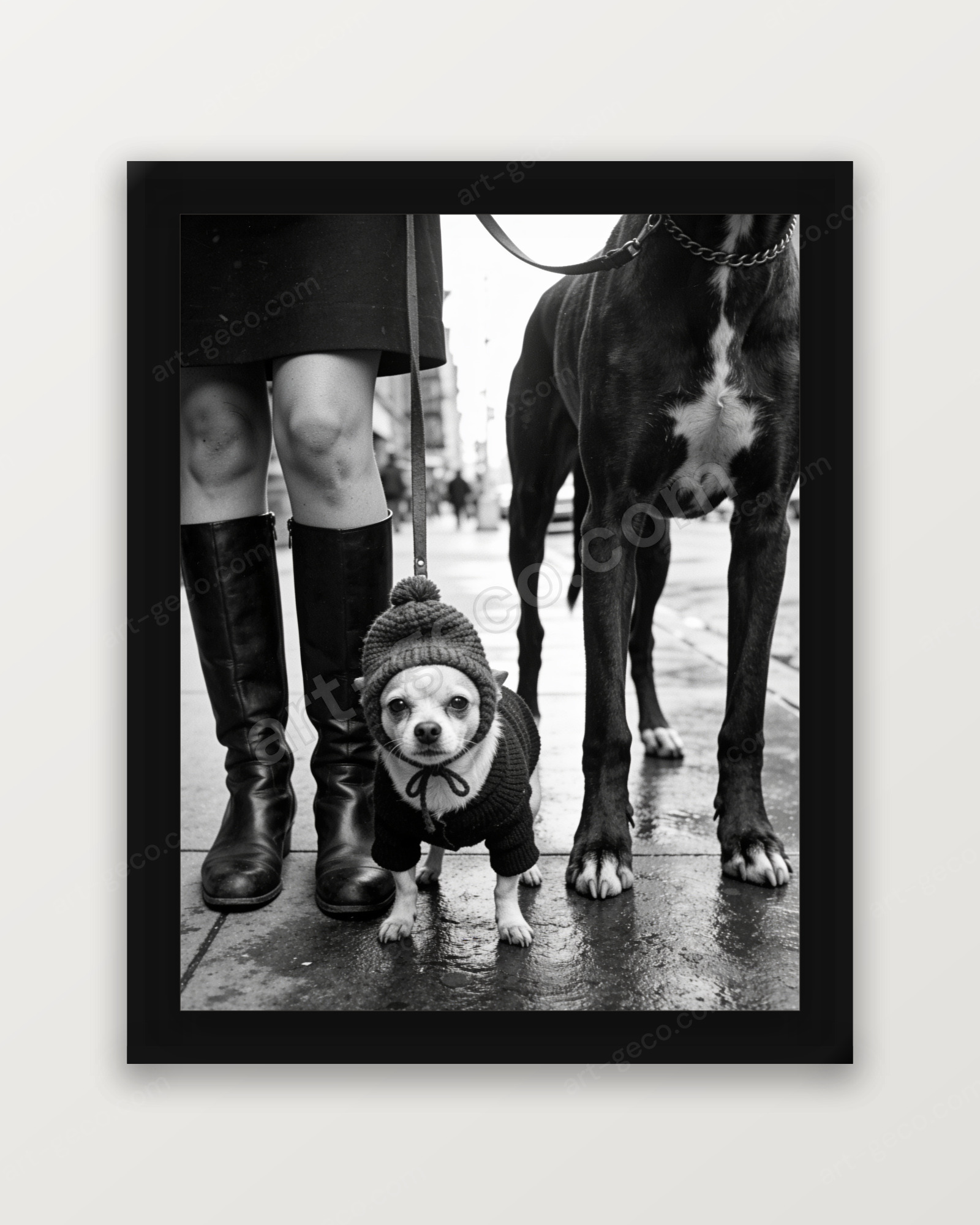 Promenade new-yorkaise à hauteur de chien